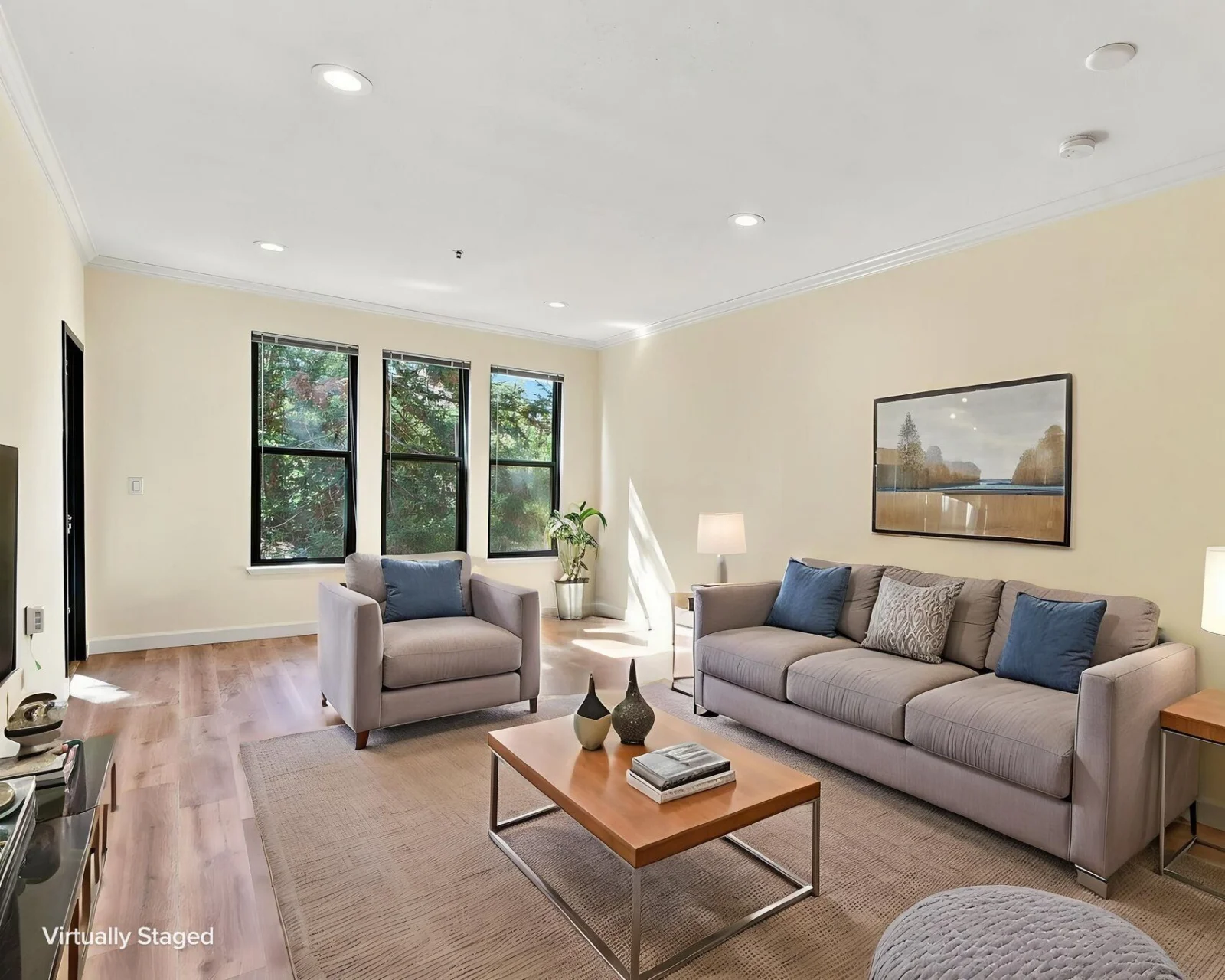 117B Aster Living Room