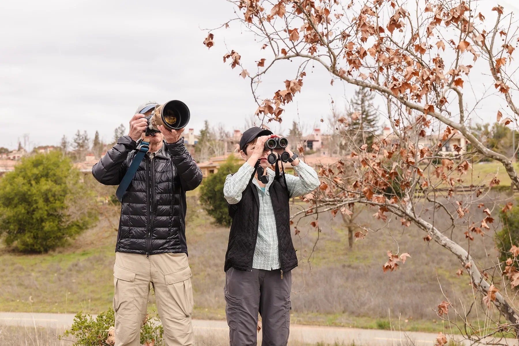 Couple Birdwatching