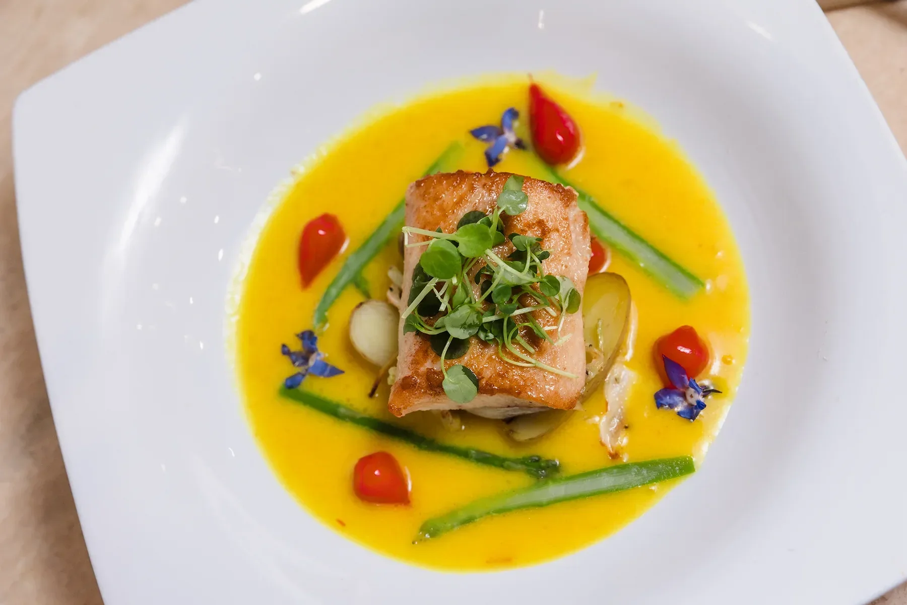 Salmon