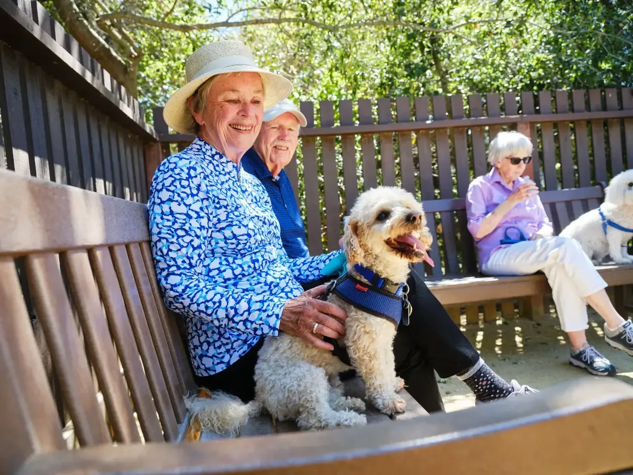 Residents petting dogs